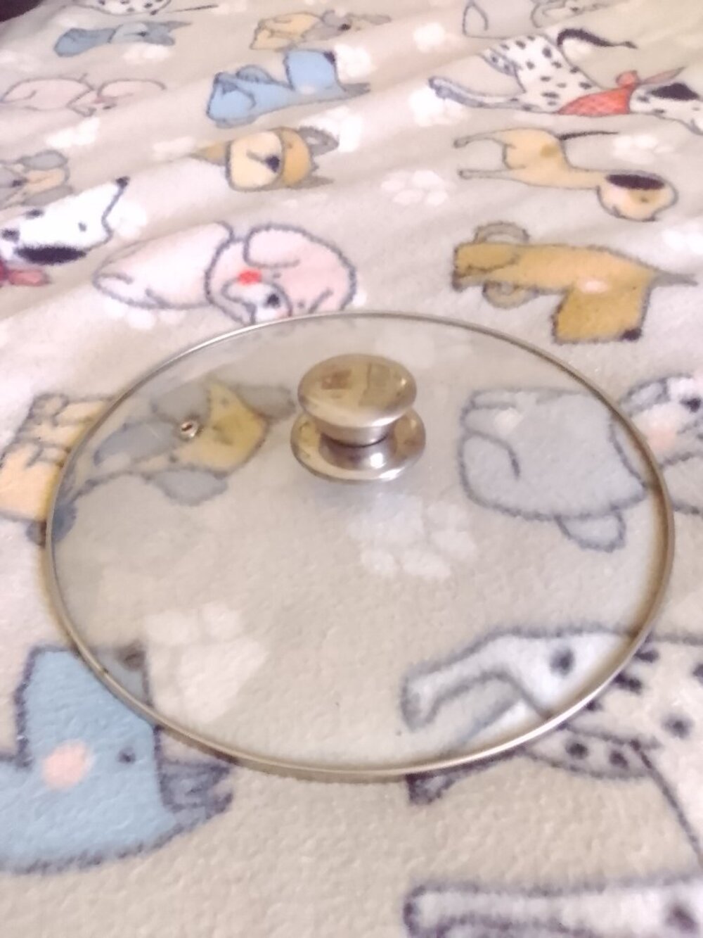 extra glass pot cover